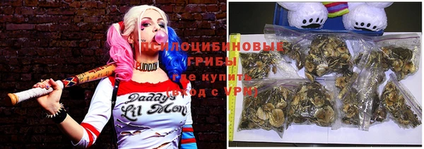 мяу мяу мука Горняк