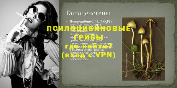 Альфа ПВП Горнозаводск