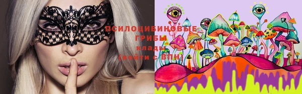прущие крисы Горно-Алтайск