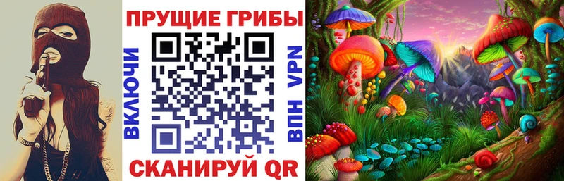 Псилоцибиновые грибы ЛСД Жердевка