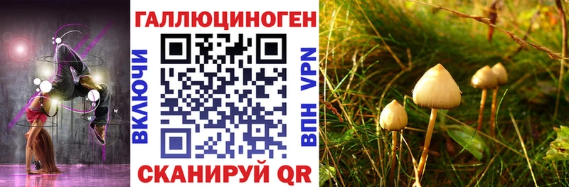 Псилоцибиновые грибы Magic Shrooms  Жердевка 